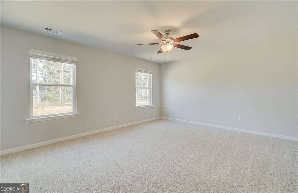 619 Leafy Branch Way Mcdonough - 21