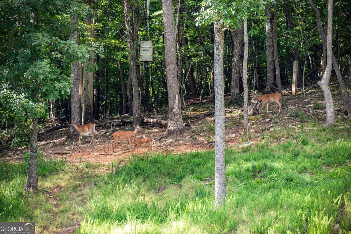 669 Wilscot Farms Road Morganton - 20