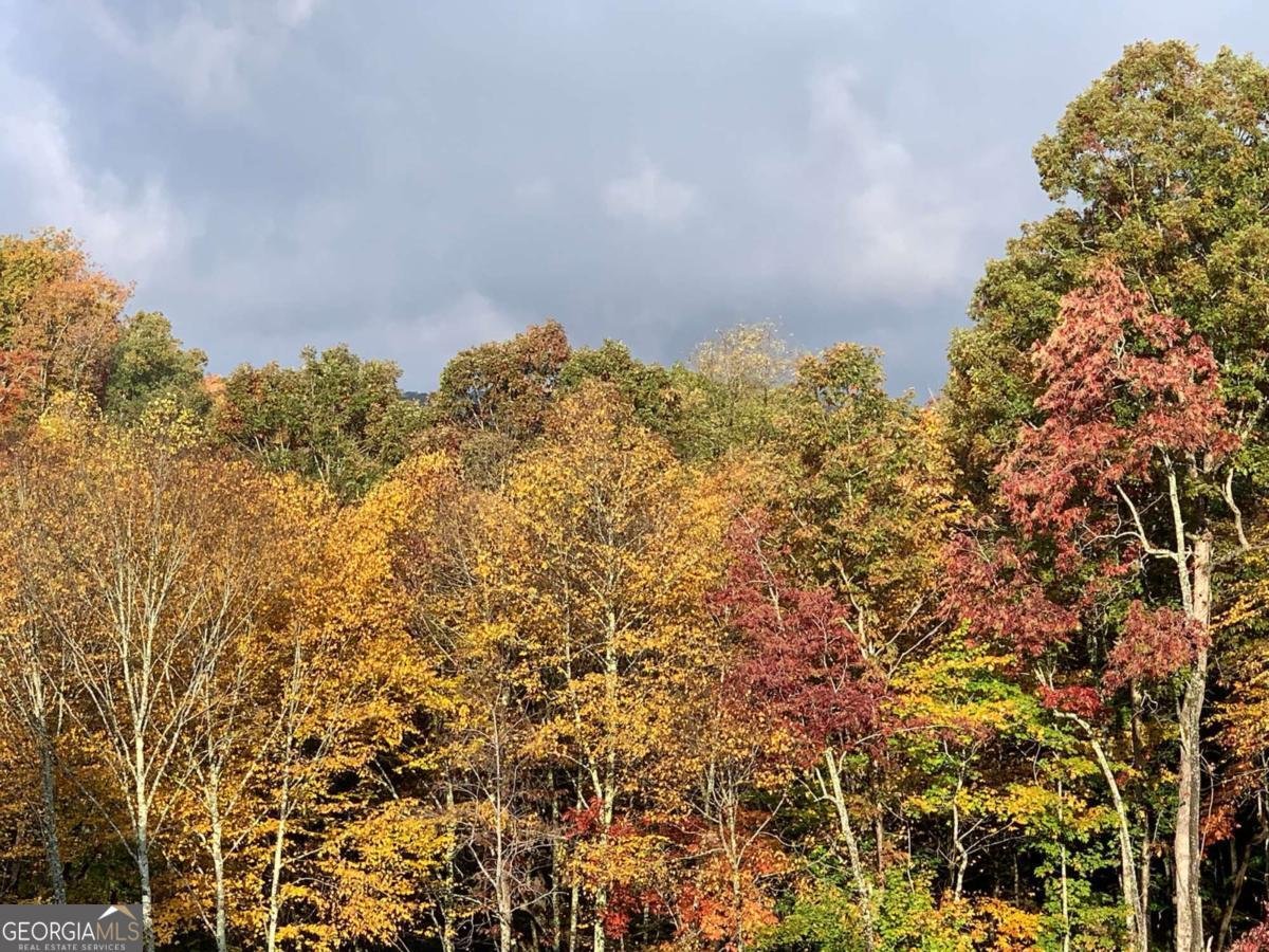 669 Wilscot Farms Road Morganton - 58