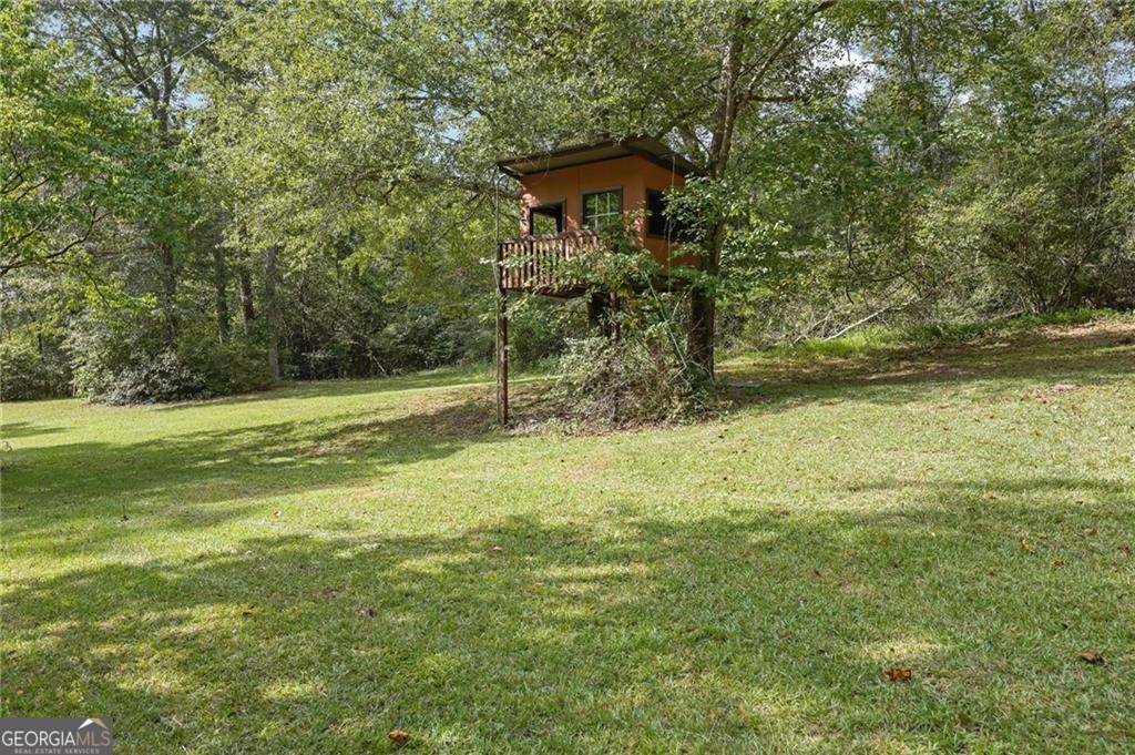 5319 Haynes Creek Drive Loganville - 50