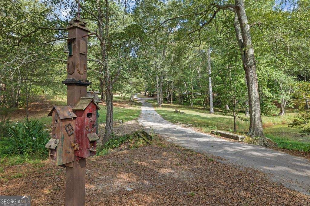 5319 Haynes Creek Drive Loganville - 55