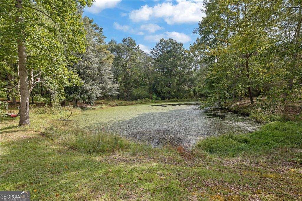 5319 Haynes Creek Drive Loganville - 57