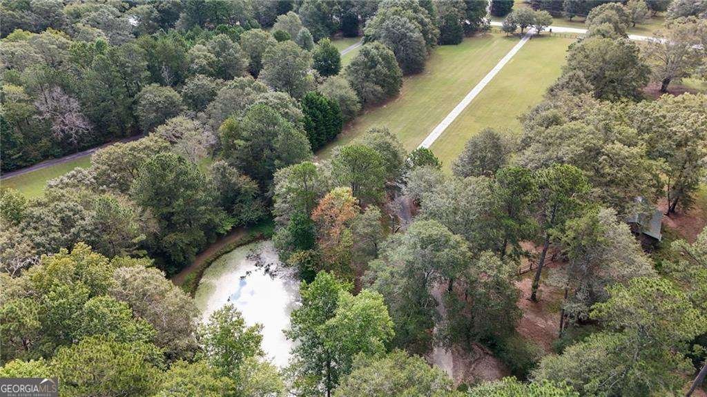 5319 Haynes Creek Drive Loganville - 6