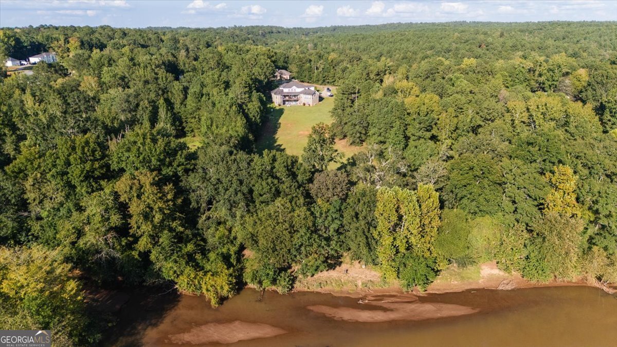 176 Tumbling Shoals Drive Gray - 47