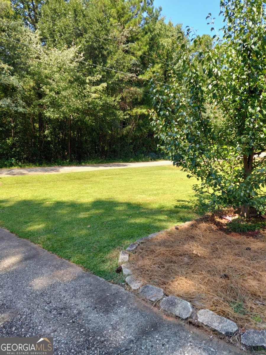 246 Old Atlanta Road Stockbridge - 6