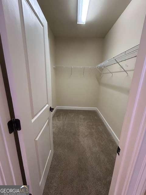3310 Noble Fir Trace Gainesville - 22