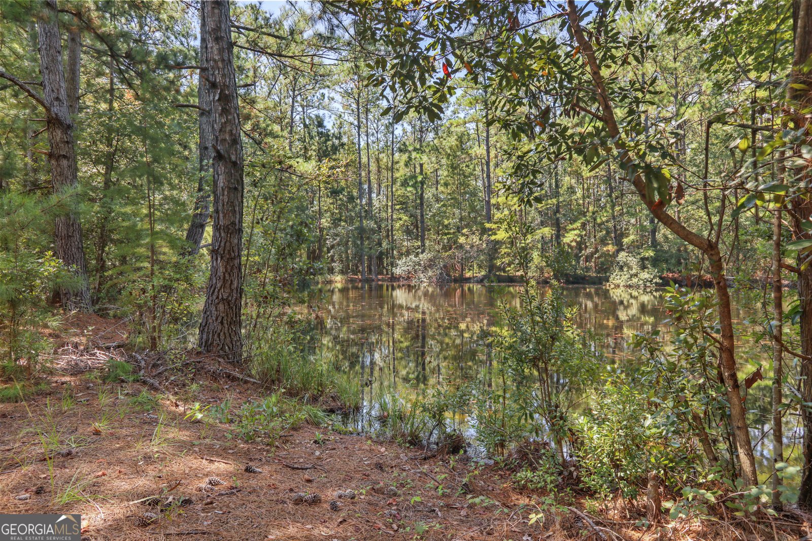 694 Overstreet Road Jesup - 21