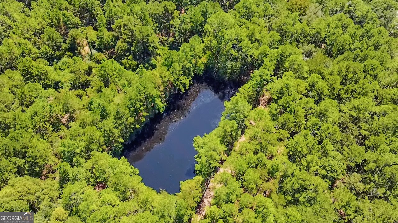 694 Overstreet Road Jesup - 23