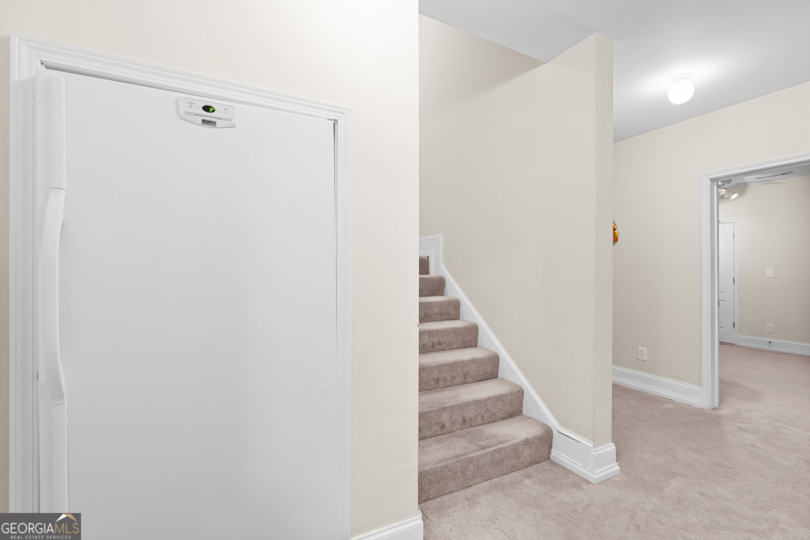 330 Rothaus Court Stockbridge - 28