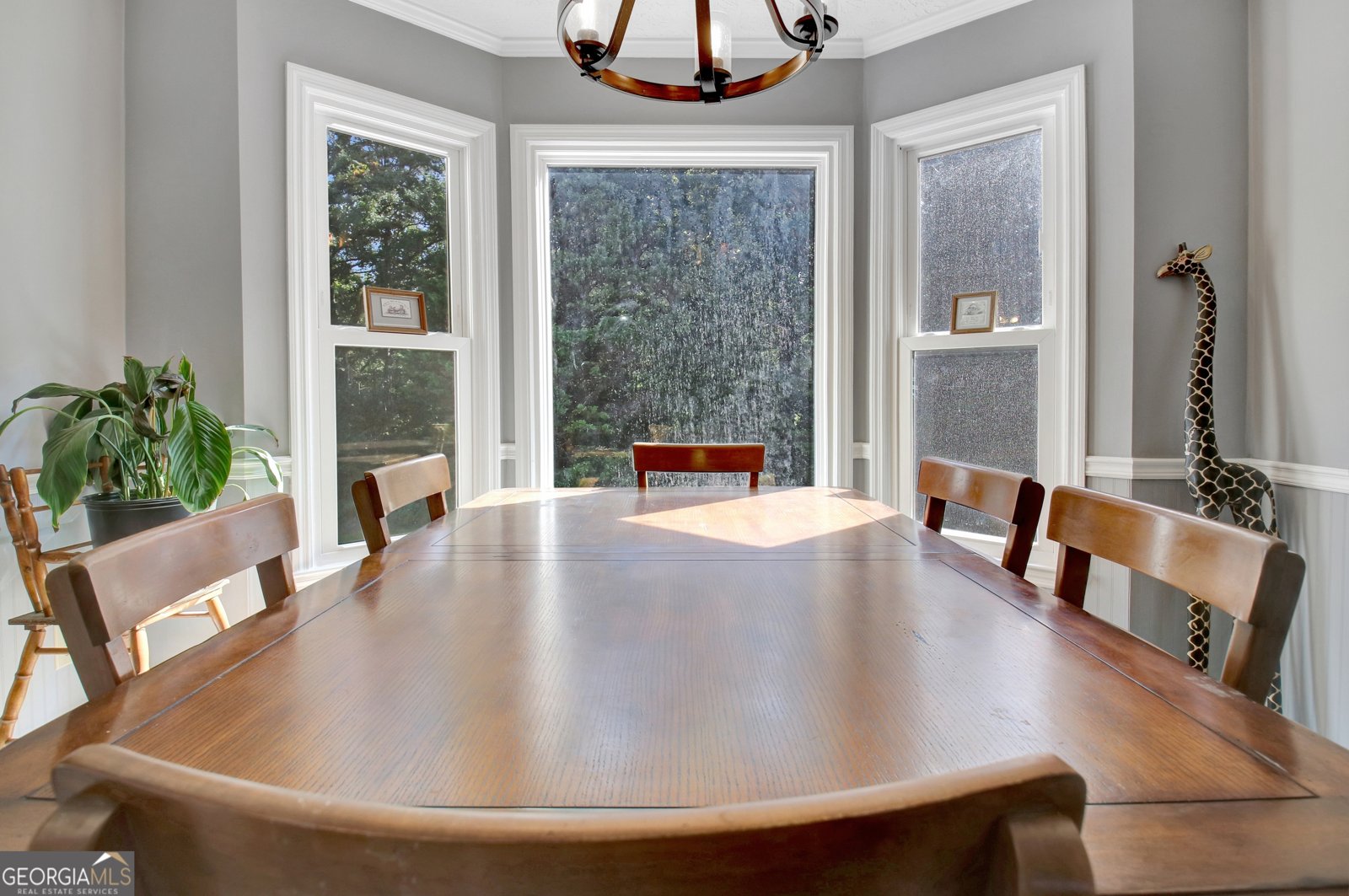 605 Rowe Road Senoia - 5