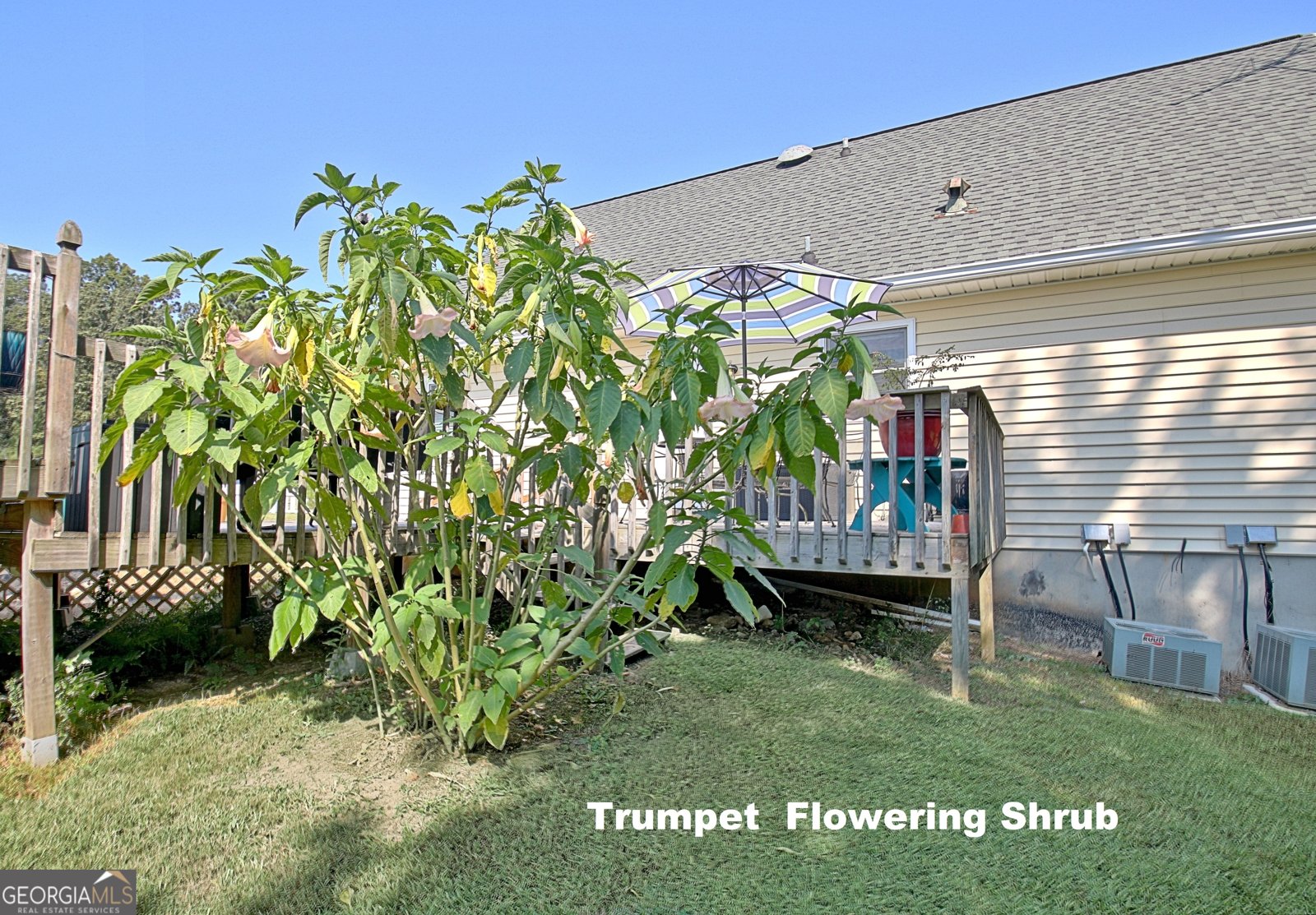 605 Rowe Road Senoia - 79