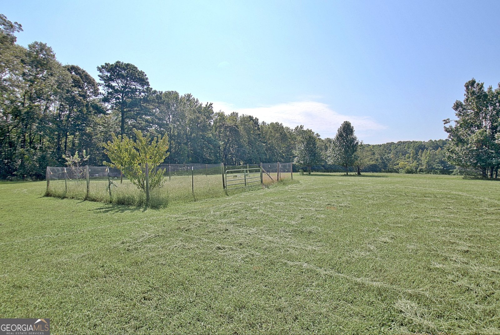 605 Rowe Road Senoia - 86