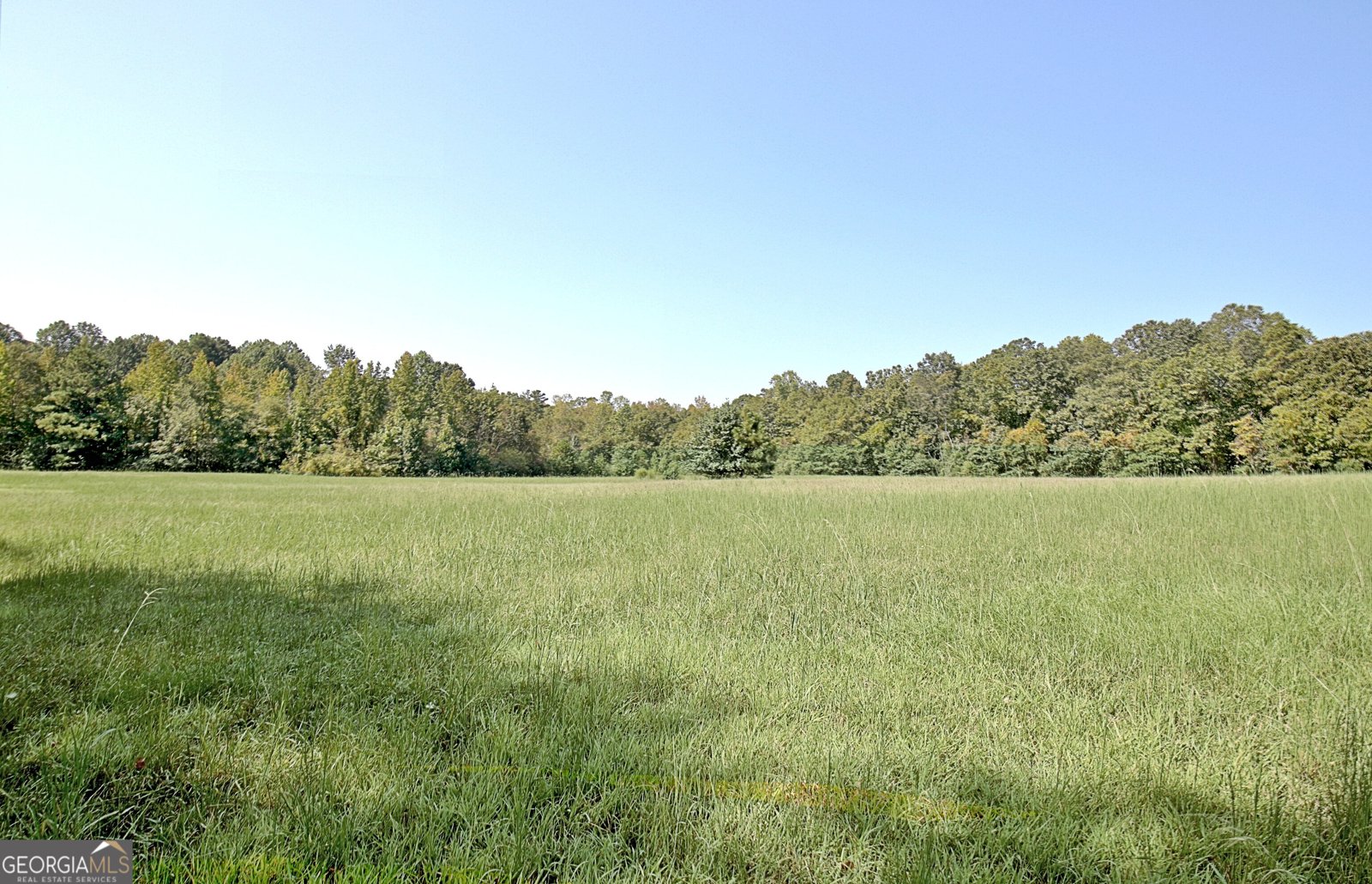 605 Rowe Road Senoia - 90