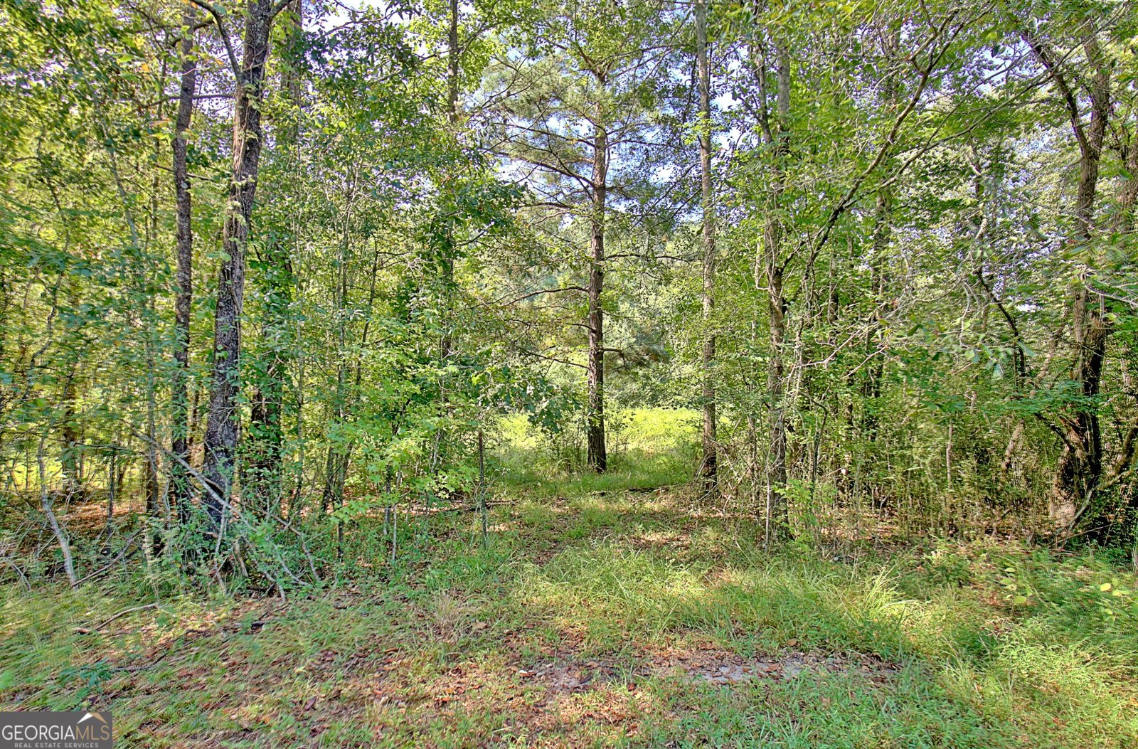 605 Rowe Road Senoia - 91