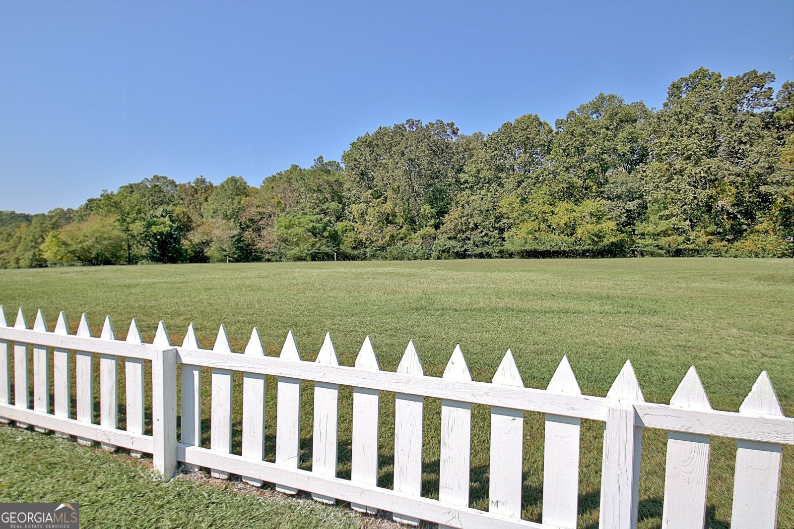 605 Rowe Road Senoia - 98
