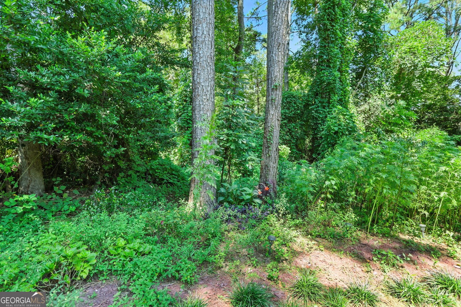 5219 Argonne Drive Columbus - 24