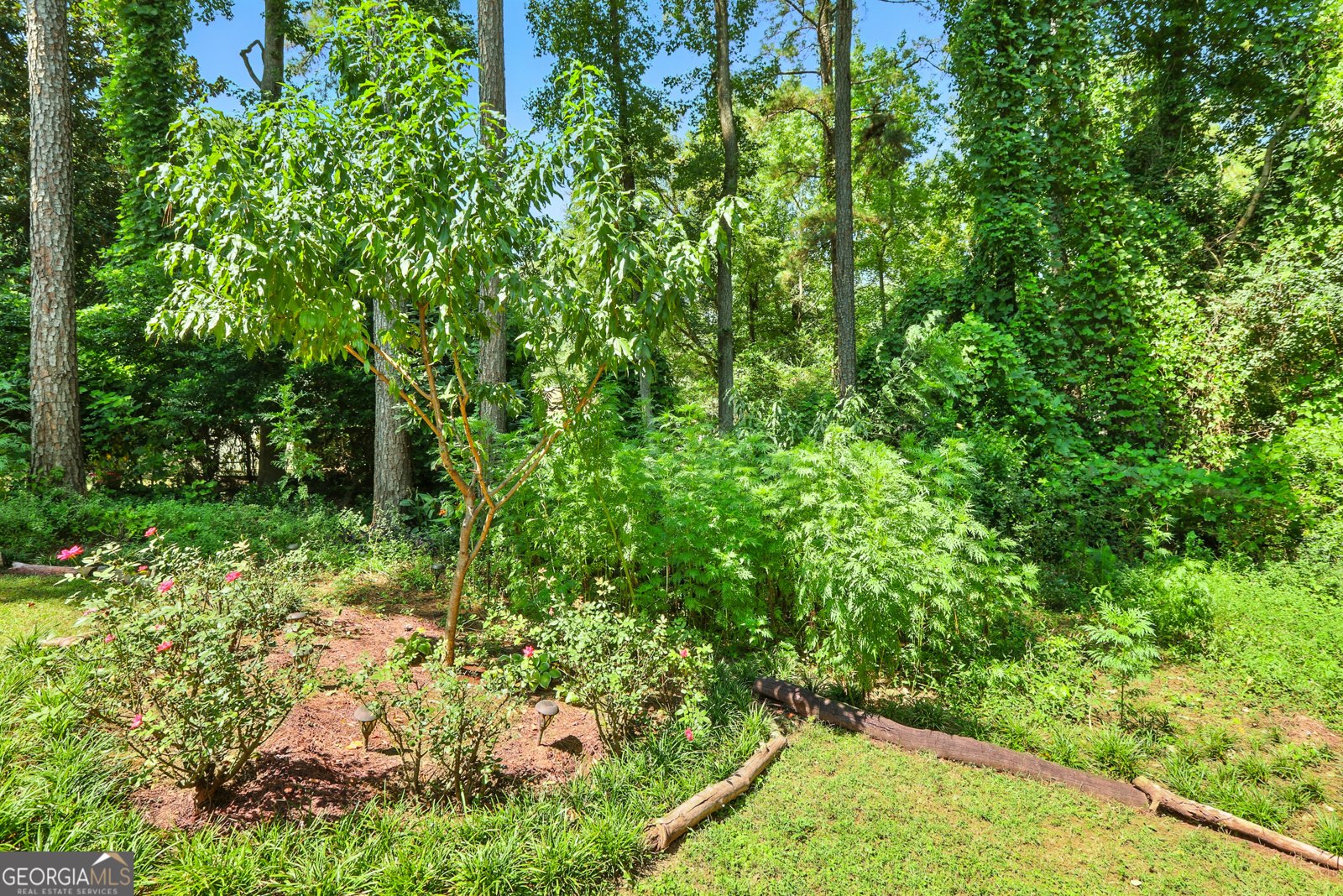 5219 Argonne Drive Columbus - 25