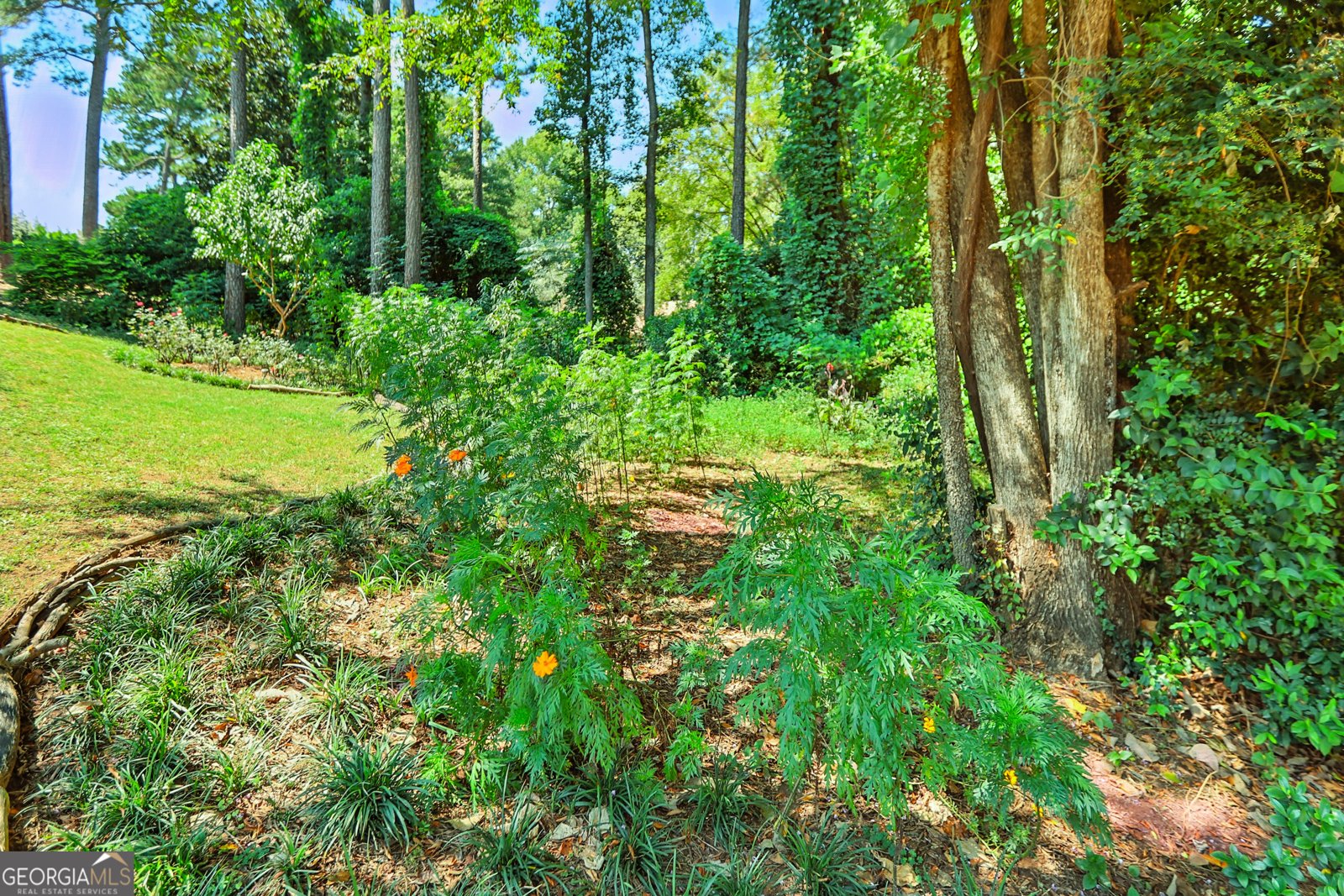 5219 Argonne Drive Columbus - 28