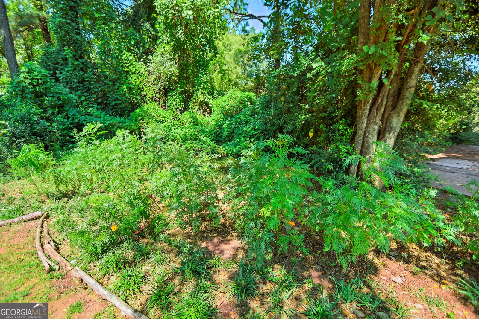 5219 Argonne Drive Columbus - 29