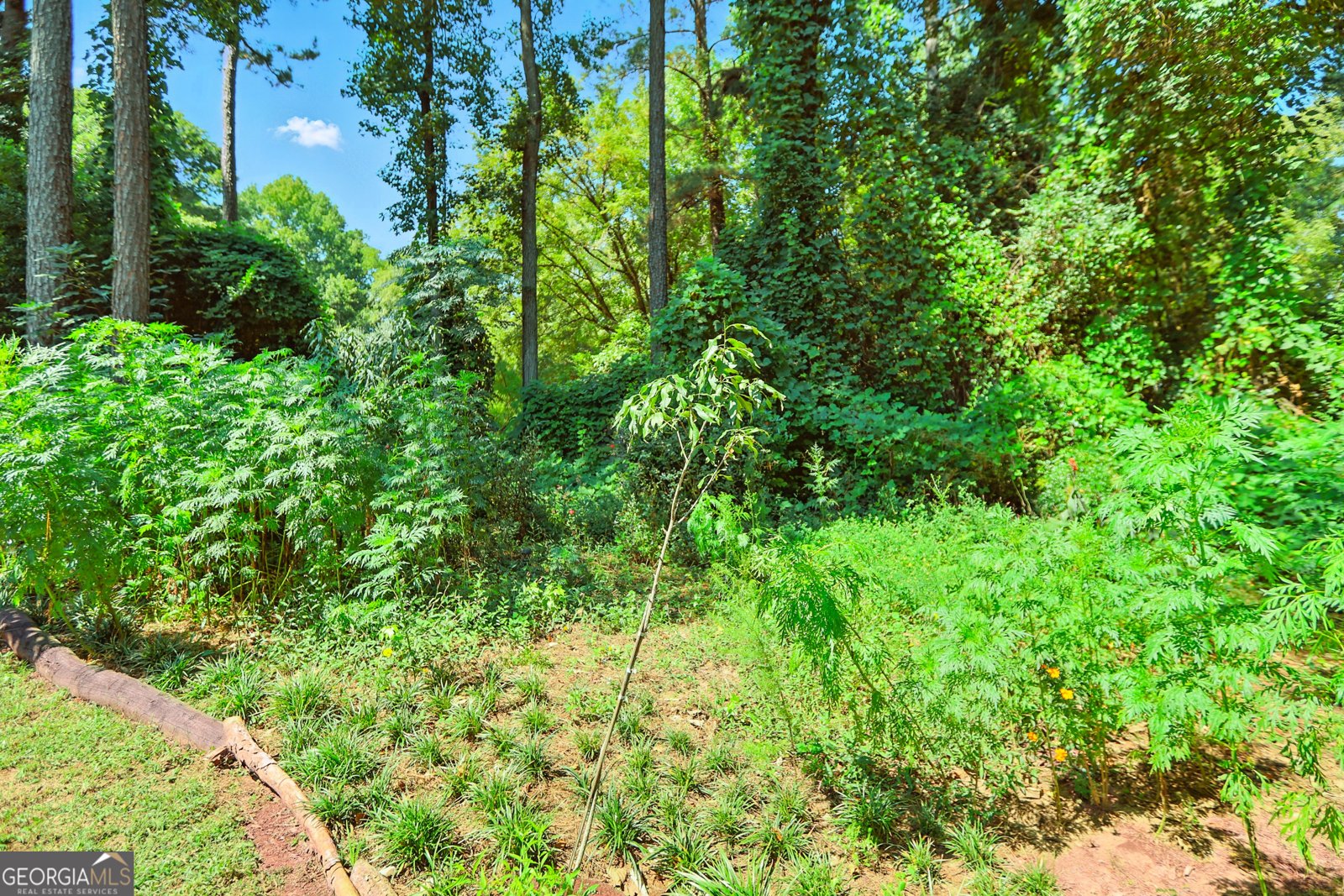 5219 Argonne Drive Columbus - 30