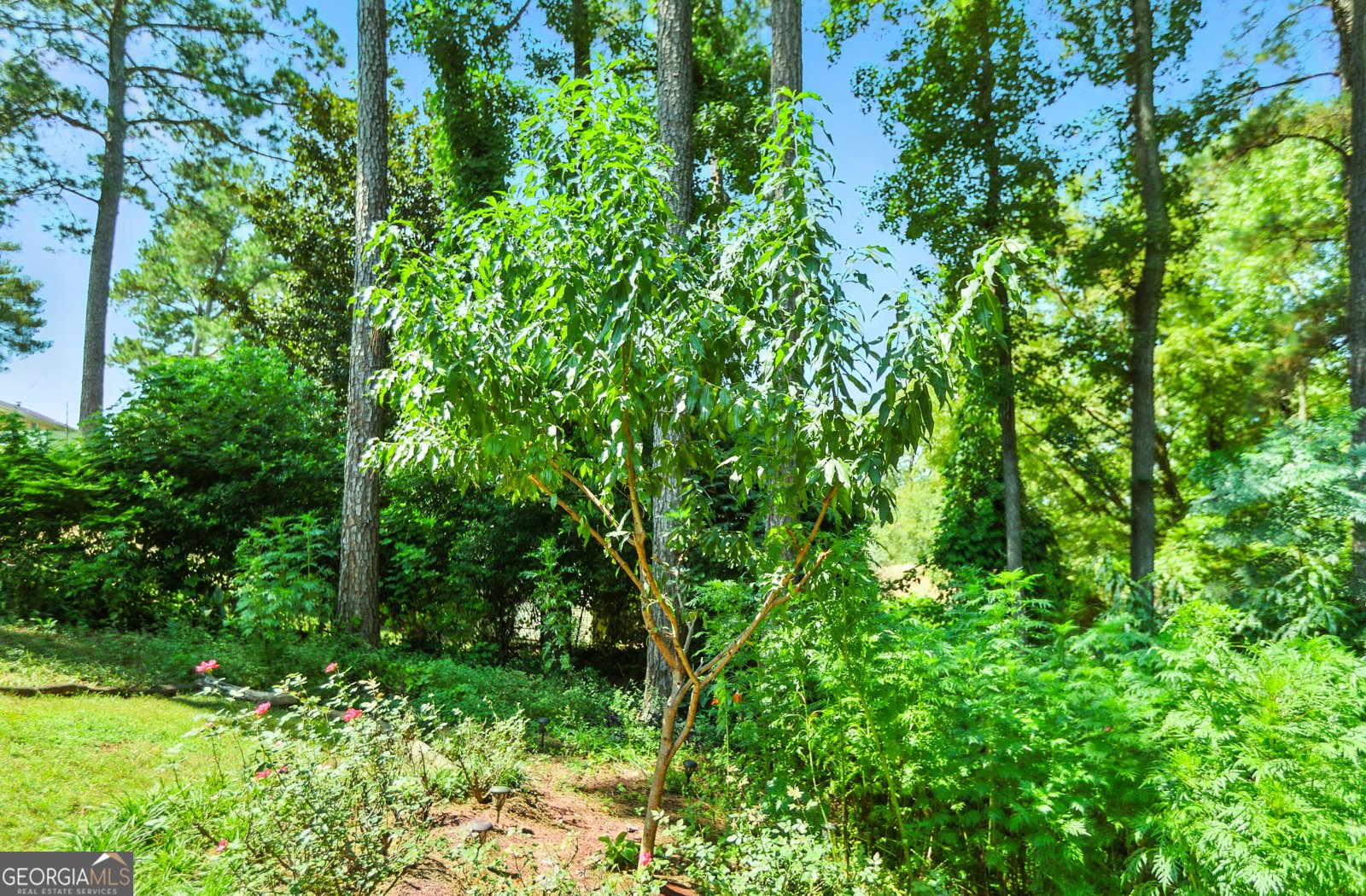 5219 Argonne Drive Columbus - 32
