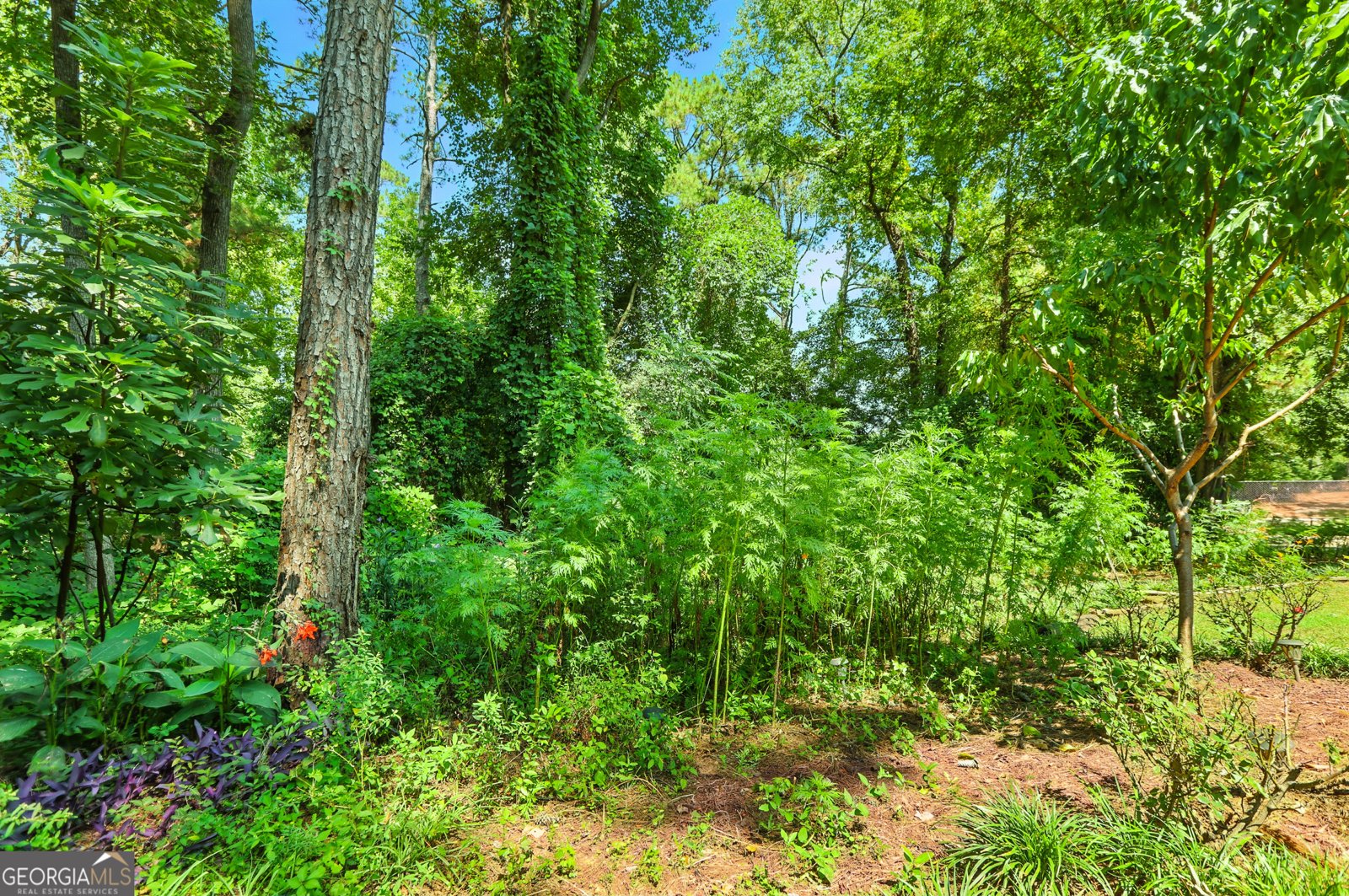 5219 Argonne Drive Columbus - 35