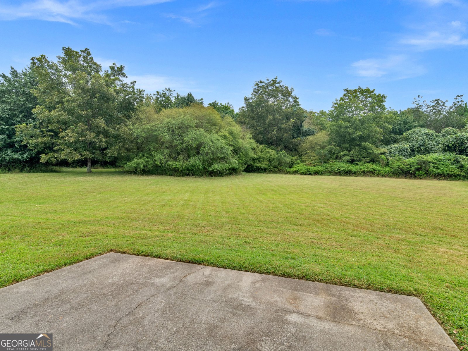 142 Keswick Manor Drive Tyrone - 22