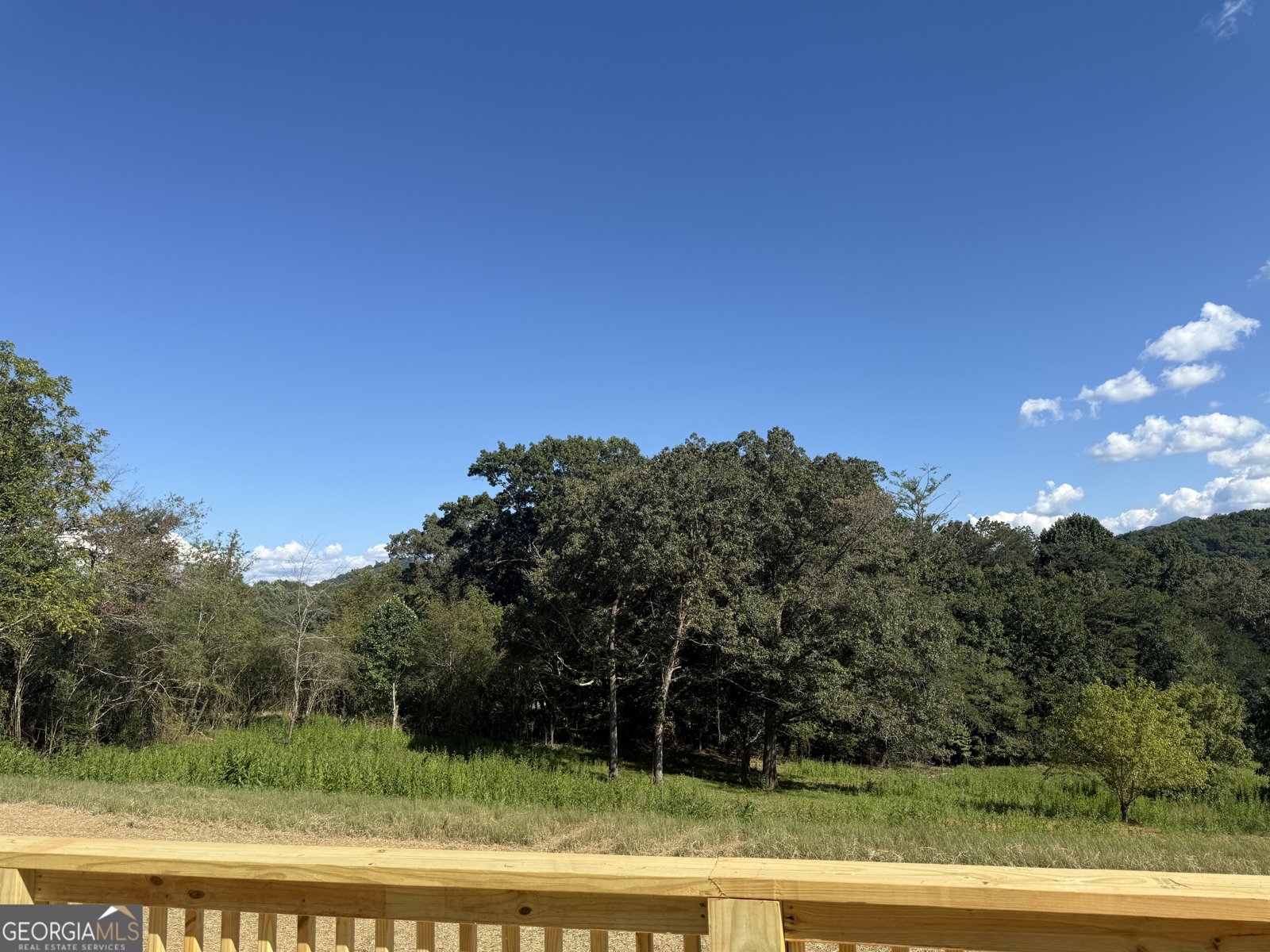 6303 Murphy Road Young Harris - 29