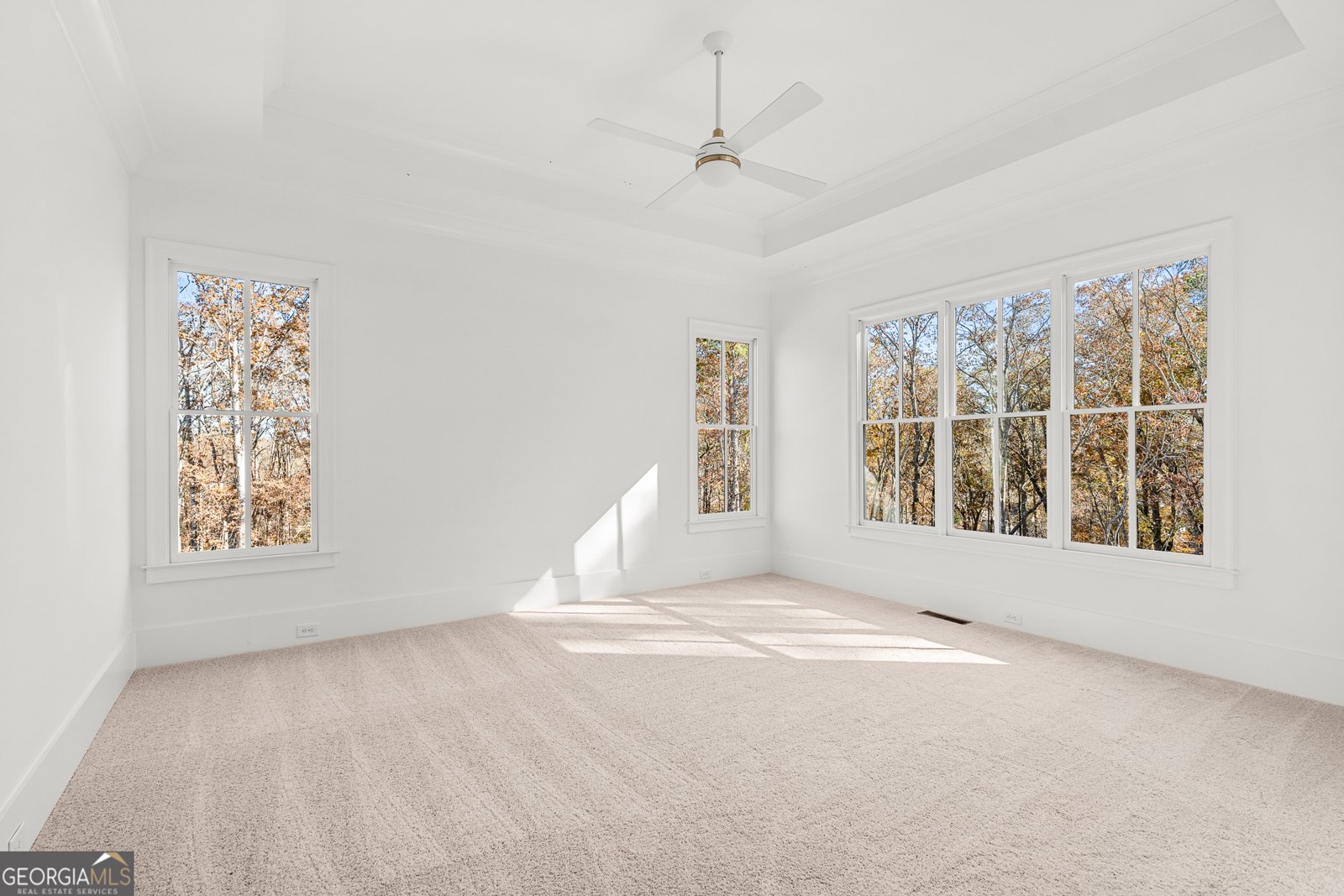 338 Reese Way Road Ball Ground - 20