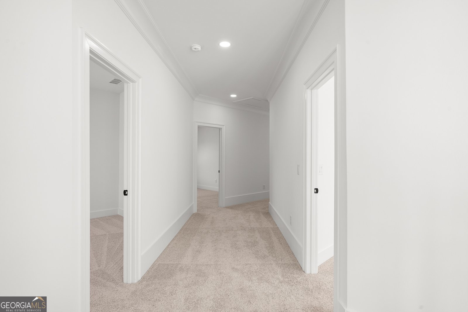 338 Reese Way Road Ball Ground - 36