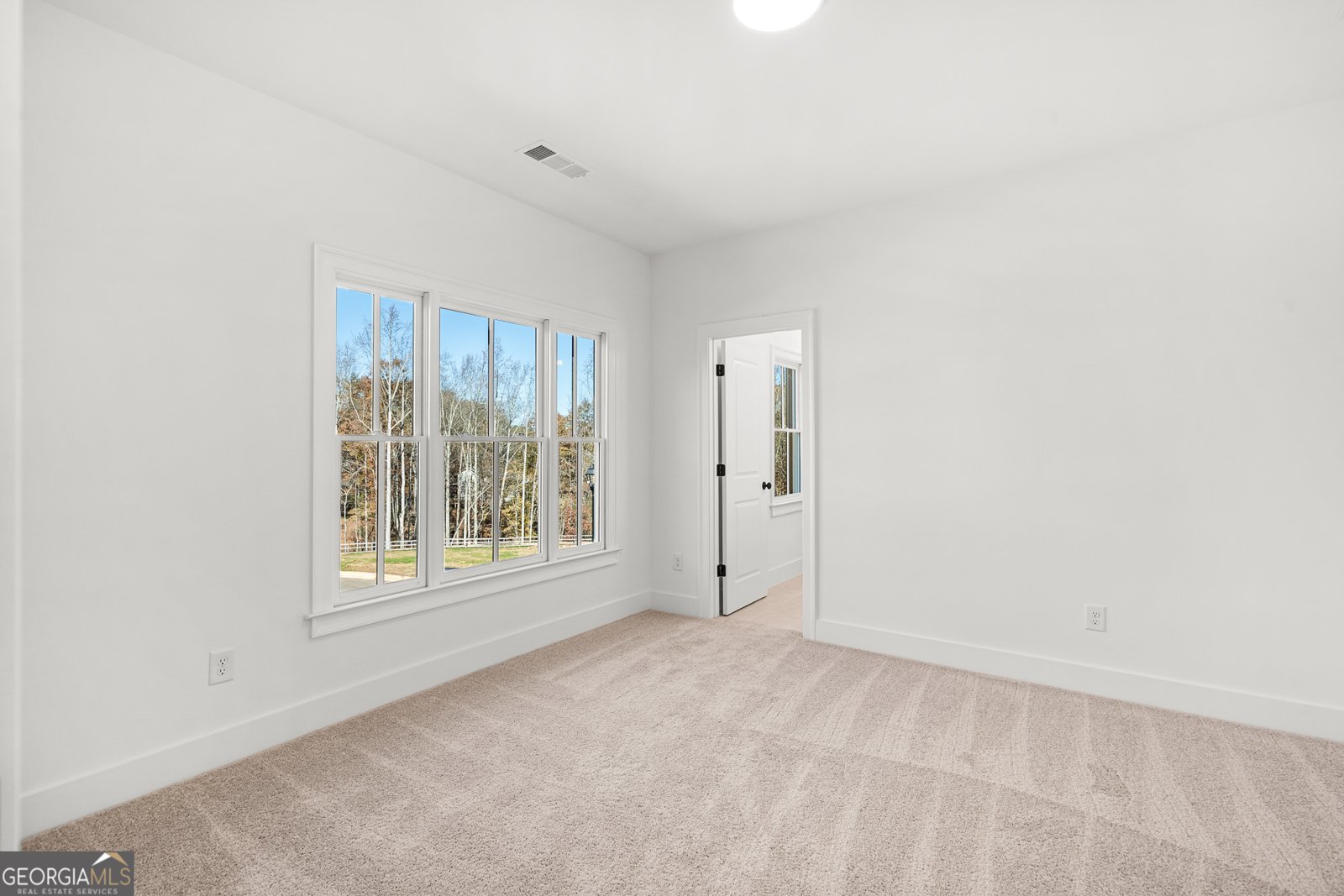 338 Reese Way Road Ball Ground - 38