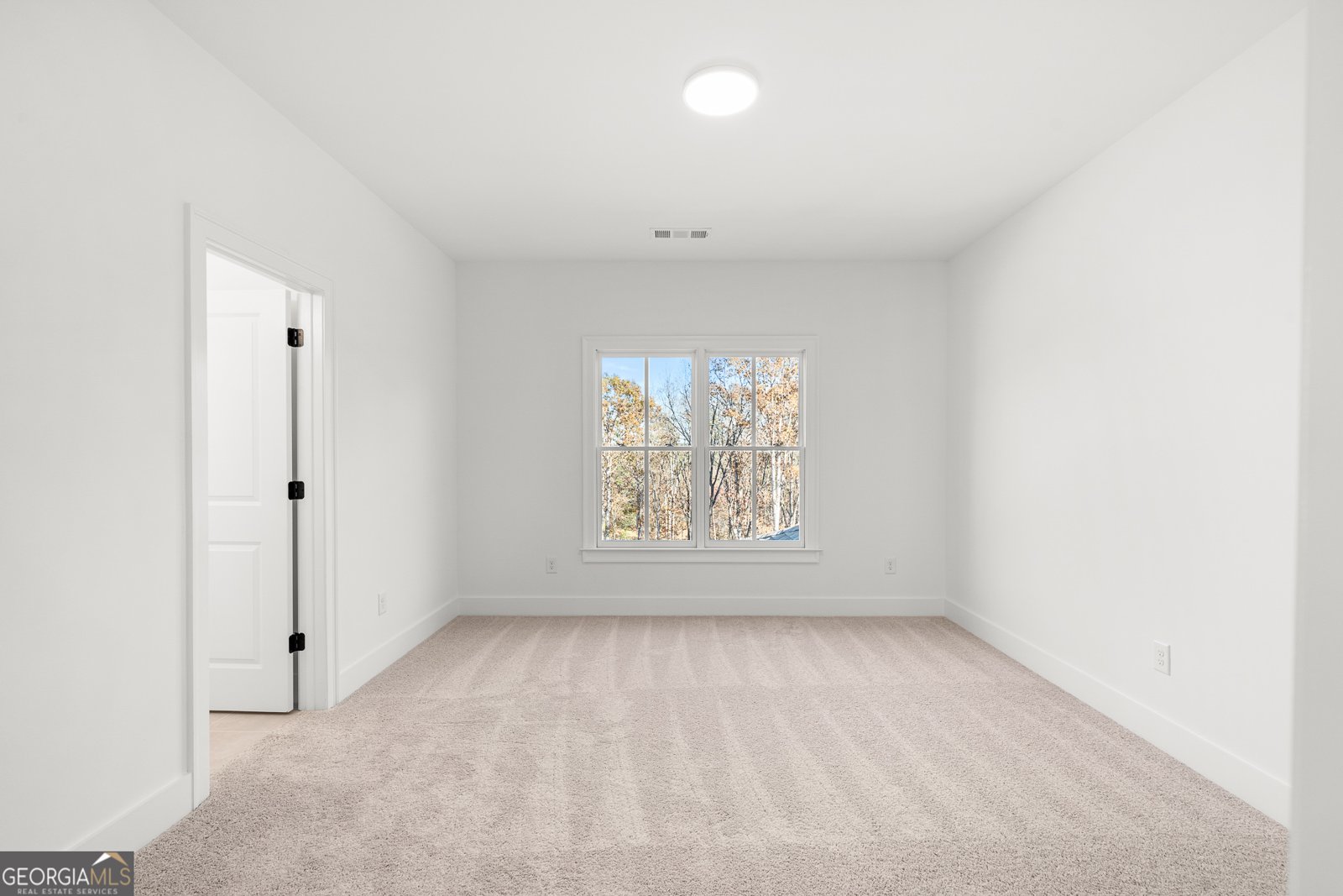 338 Reese Way Road Ball Ground - 42