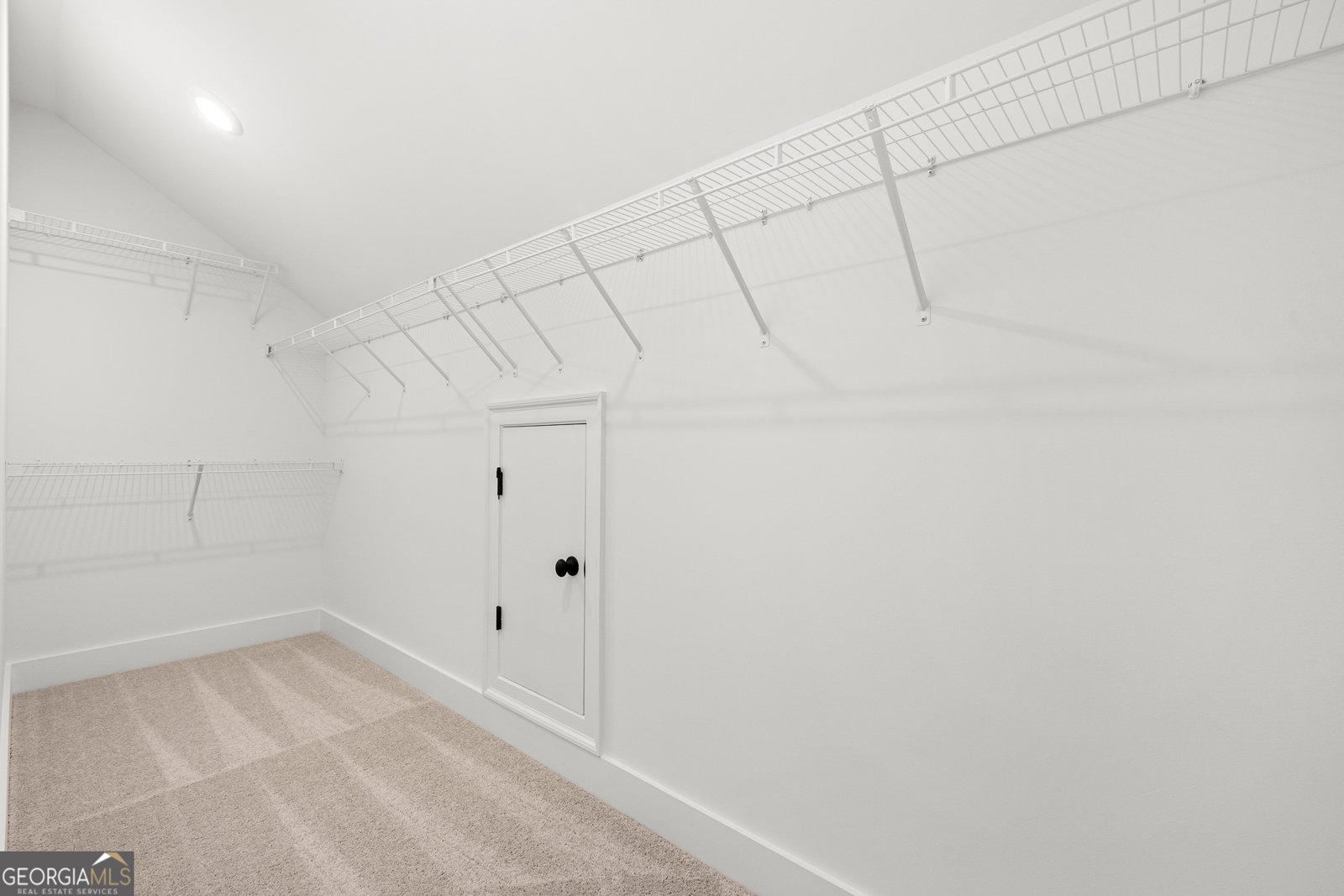 338 Reese Way Road Ball Ground - 46