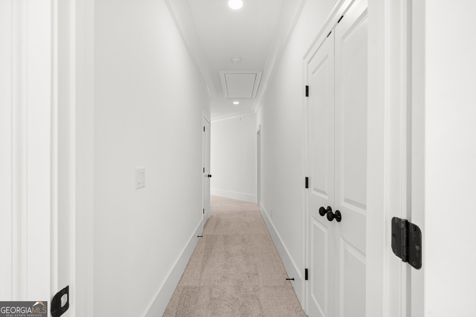 338 Reese Way Road Ball Ground - 47