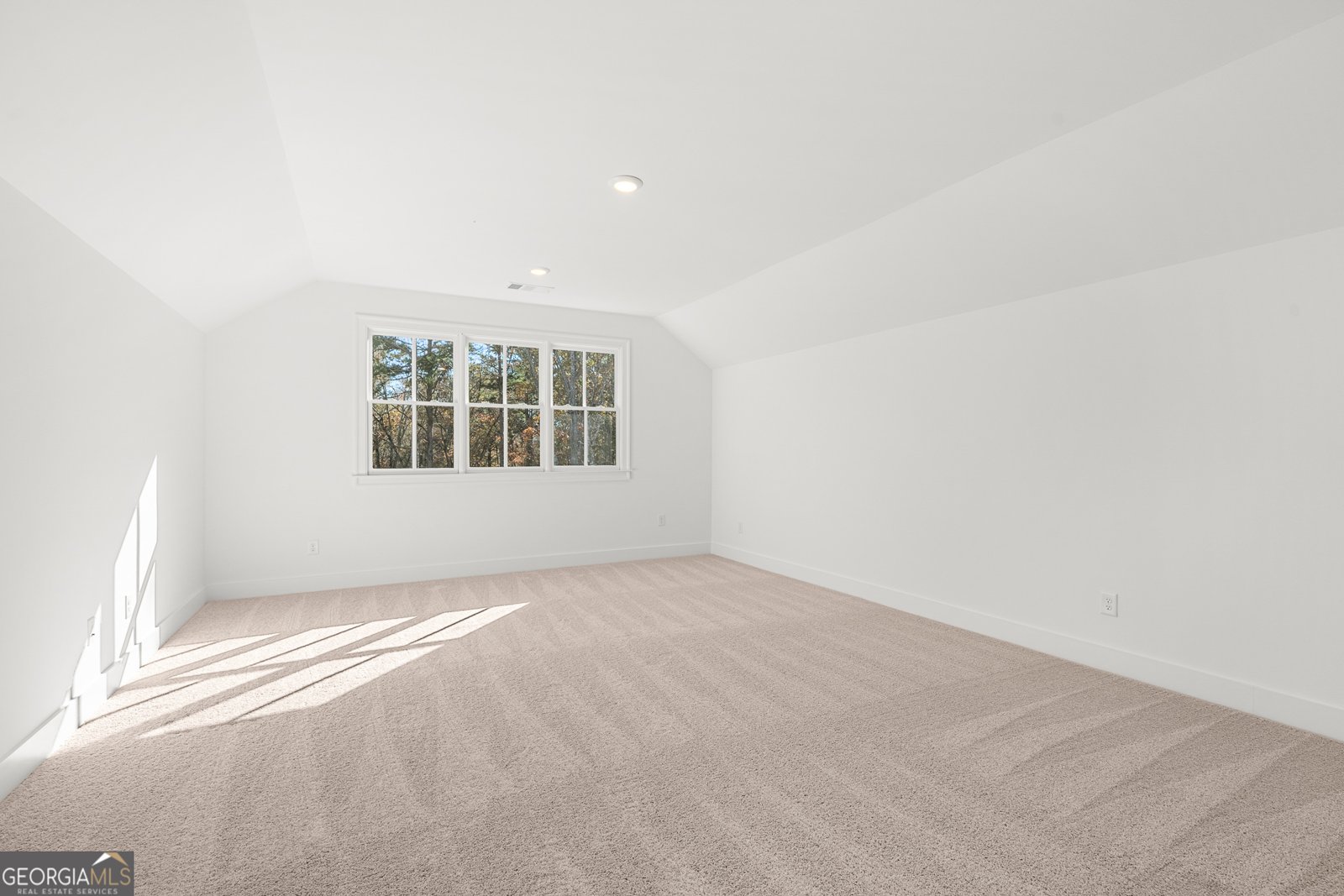 338 Reese Way Road Ball Ground - 48