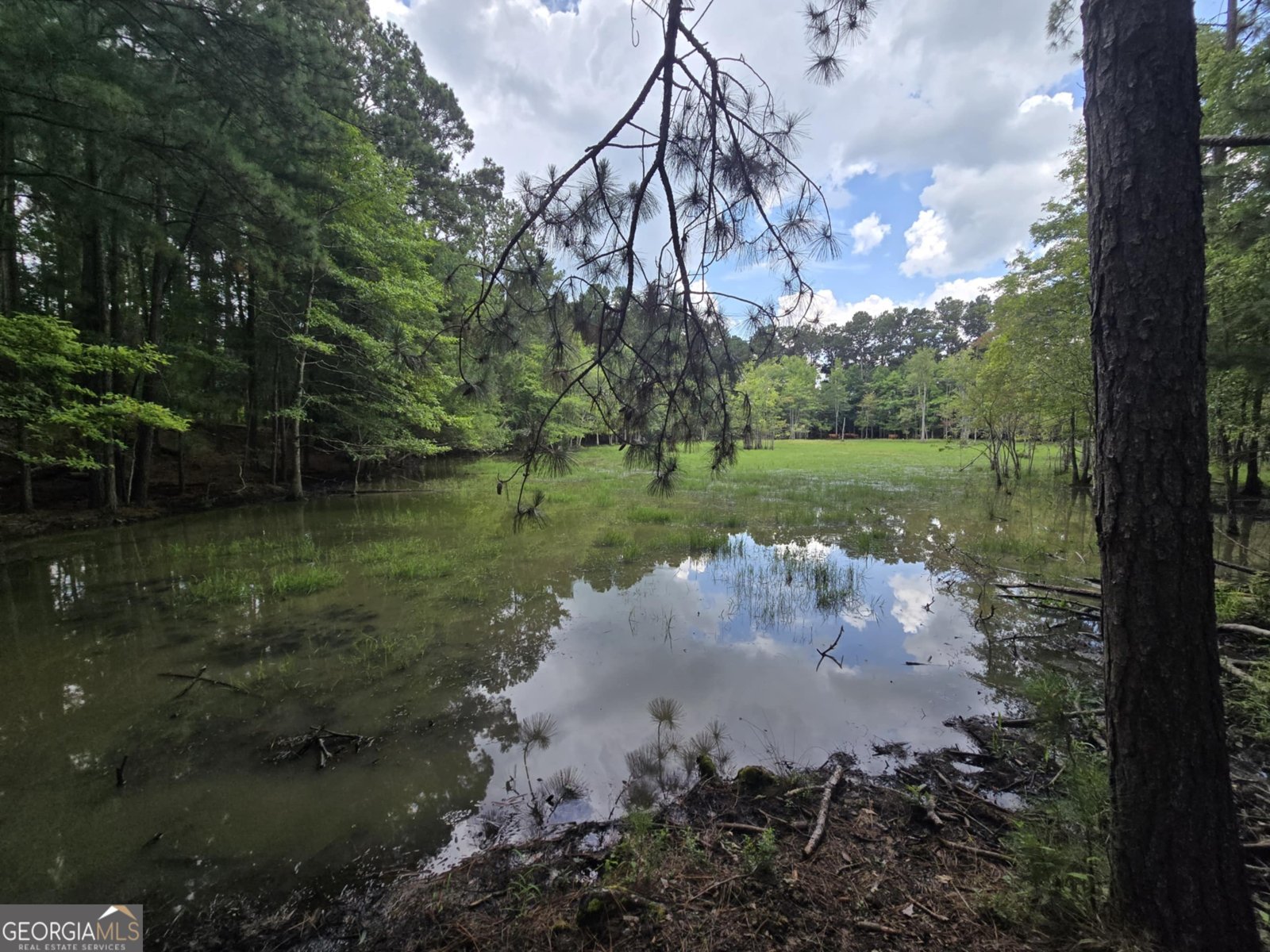 3599 Ga Highway 127 Mauk - 11