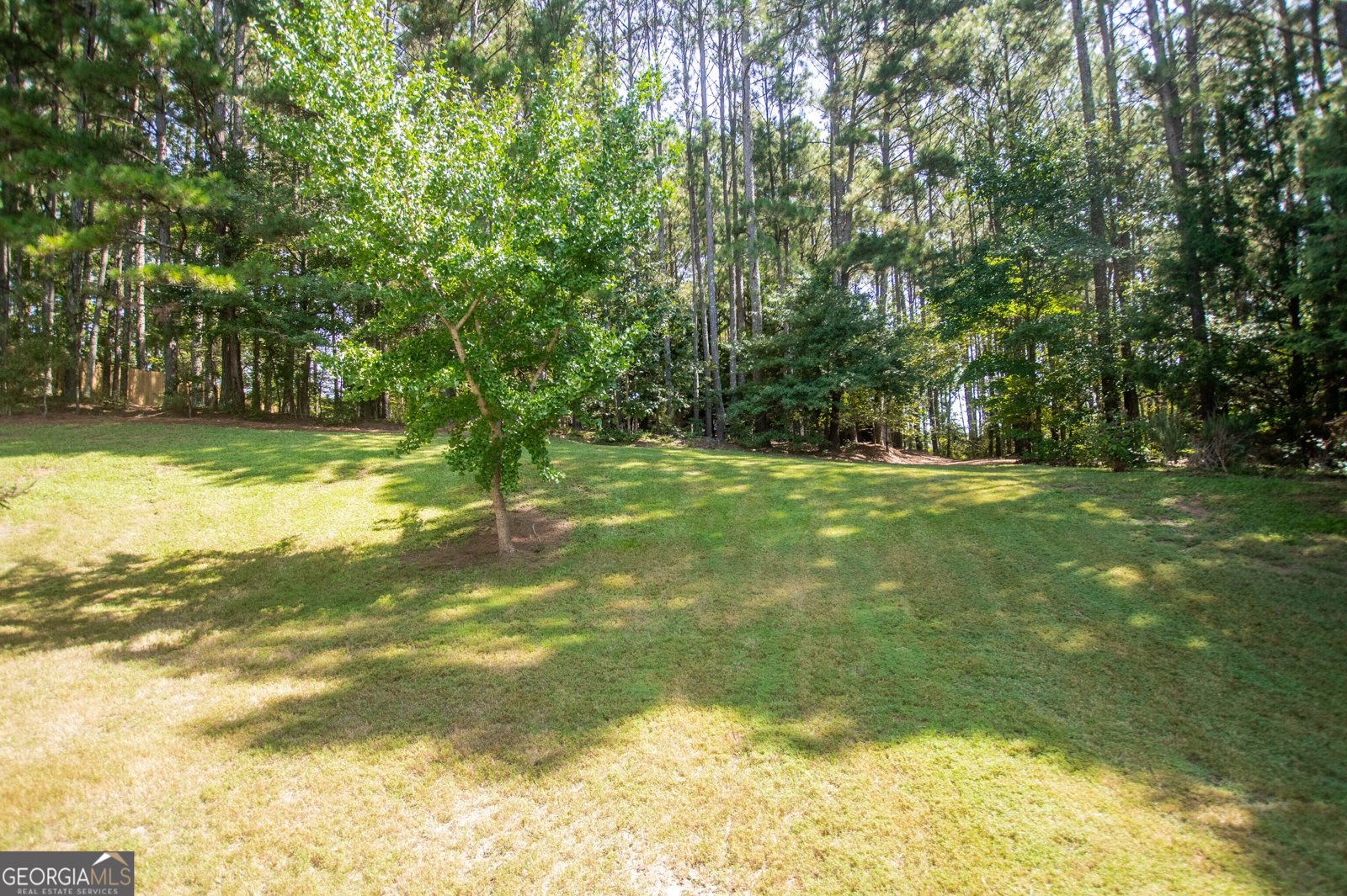4971 Cliff Top Drive Loganville - 43
