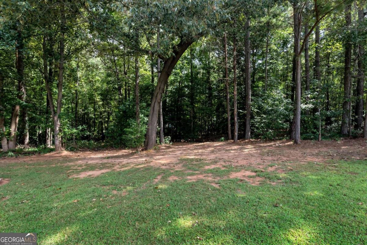 5503 Amber Cove Way Flowery Branch - 41
