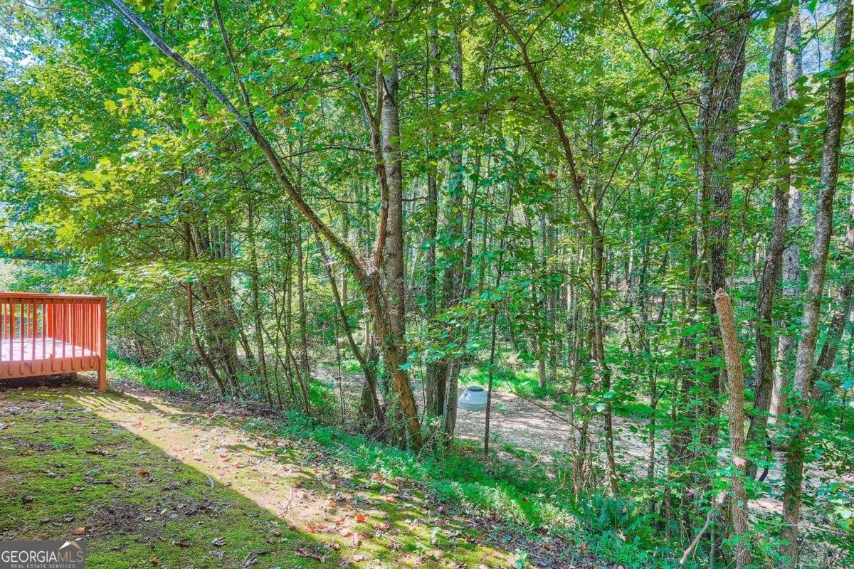 4030 Melanie Woods Drive Atlanta - 27