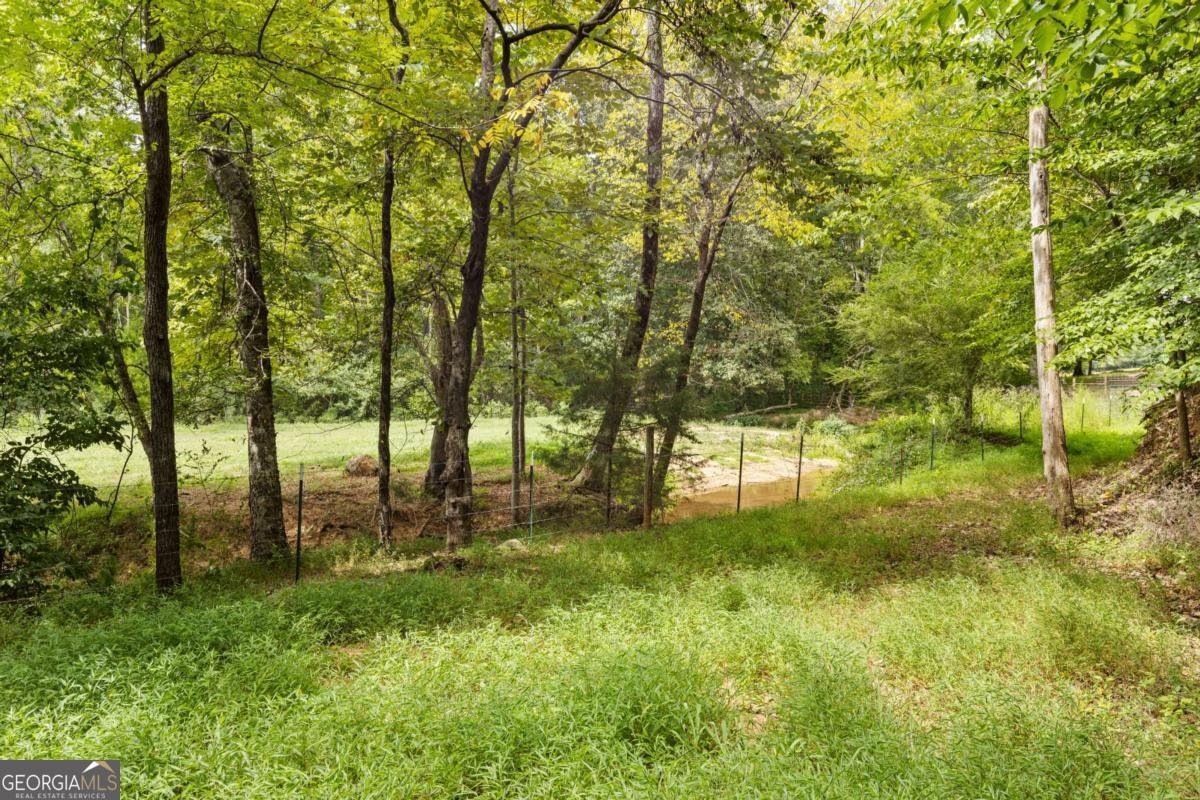411 Cedar Creek Road Cartersville - 12