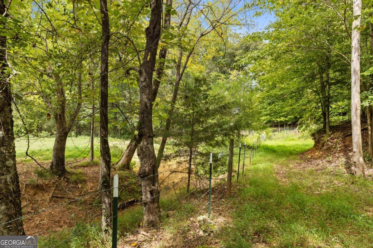 411 Cedar Creek Road Cartersville - 13