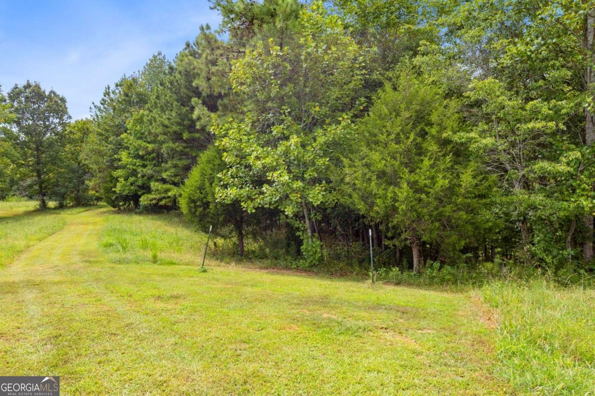 411 Cedar Creek Road Cartersville - 14