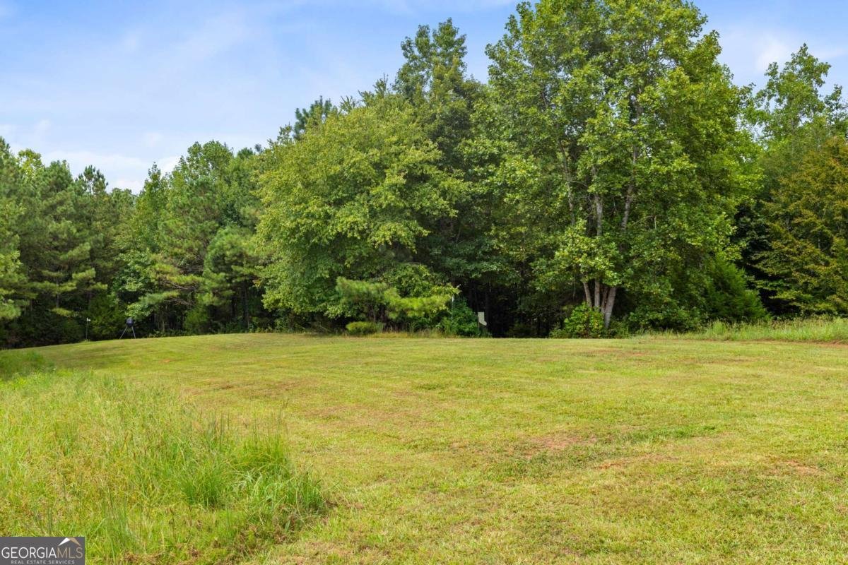 411 Cedar Creek Road Cartersville - 15