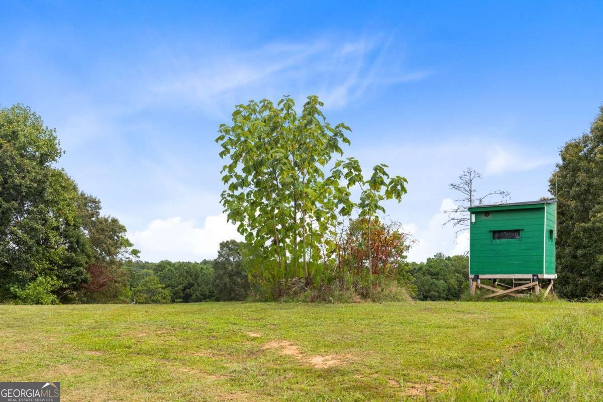 411 Cedar Creek Road Cartersville - 17