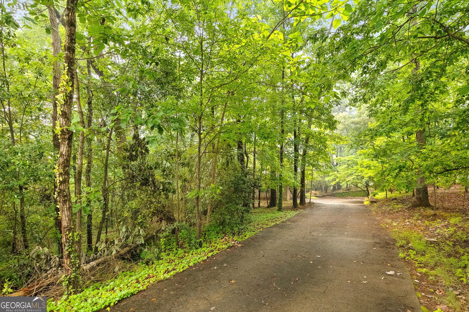 5680 Whitner Drive Sandy Springs - 4