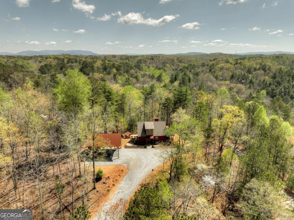 517 Monet Drive Ellijay - 10