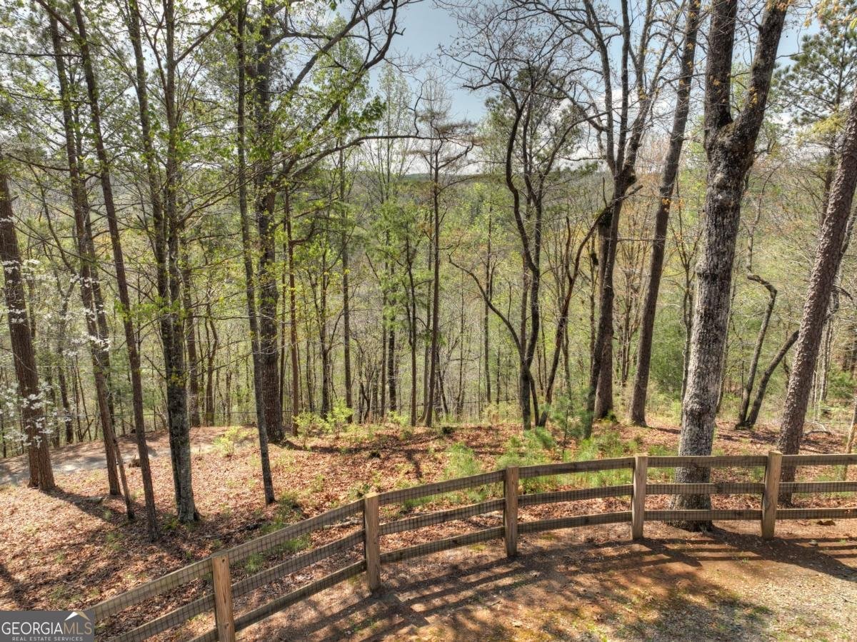 517 Monet Drive Ellijay - 9
