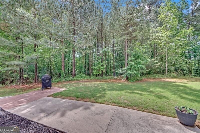 1990 Cooper Lakes Drive Grayson - 37