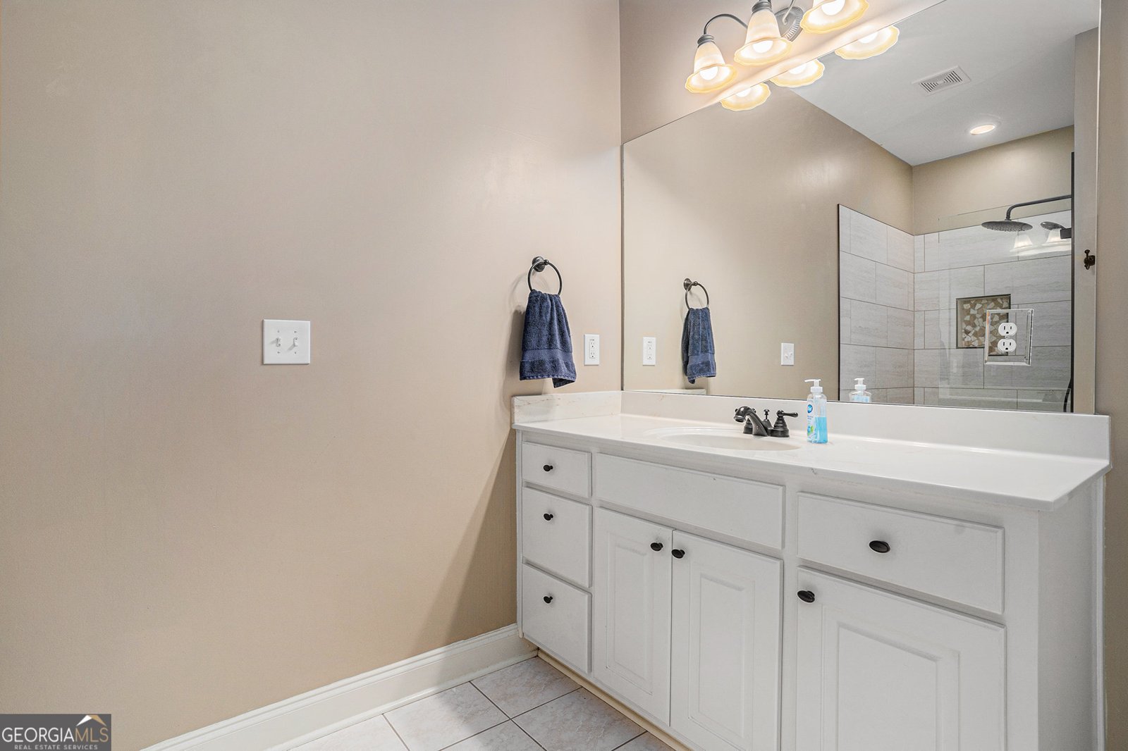 132 Fisher Mill Drive Mcdonough - 24