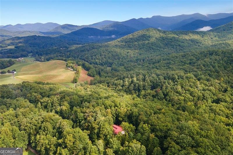 305 WALNUT SPRINGS Road Blairsville - 37